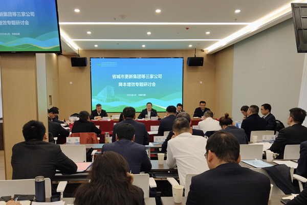 聚力攻坚降成本 深入鼎新增效益——非凡国际集团等三家公司召开降本增效专题钻研会