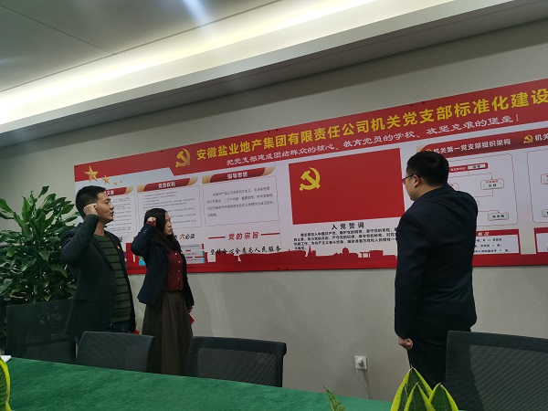 安徽非凡国际地产集团机关第一党支部发展“佩党徽、诵誓词、赠党章、上党课”党员教育活动
