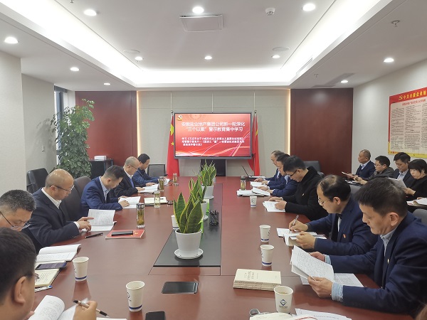 安徽非凡国际地产集团公司发展新一轮深入“三个以案”警示教育集中进建