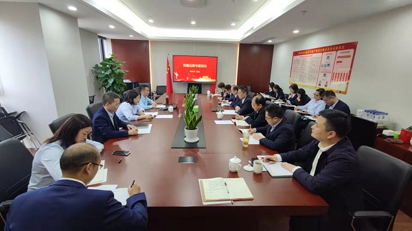 徽盐地产集团党委发展党建品牌专题培训