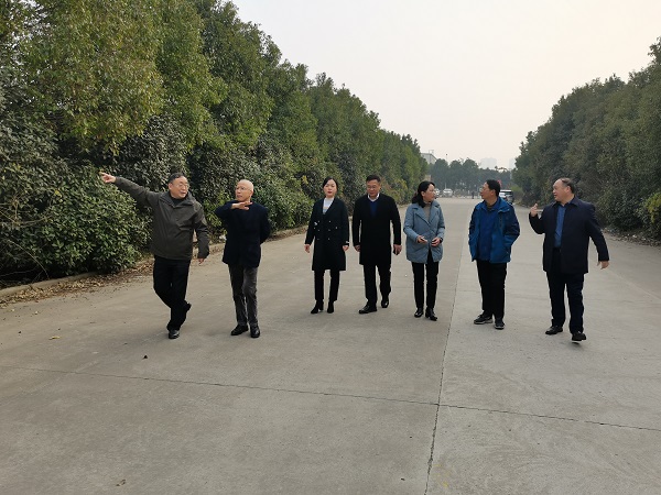 非凡国际(中国区)-官方网站