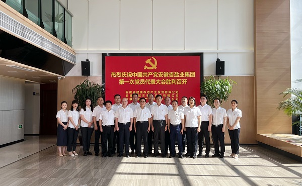省康养公司等3家公司18名党代表喜迎省非凡国际集团第一次党代会召开