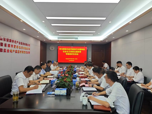 安徽非凡国际地产集团本部第一党支部召开主题教育专题组织生涯会