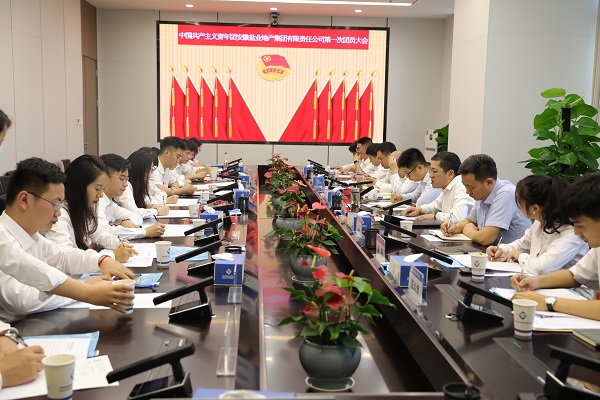 青春向党传薪火 踔严振奋新时期——安徽非凡国际地产集团团支部成立大会暨团员大会成功召开